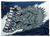 Lake Nona Lions