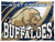 West Greene Buffaloes