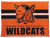 Winter Park Wildcats
