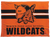 Winter Park Wildcats