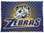 Lincoln Zebras