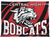 Central Bobcats