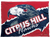 Citrus Hills Hawks