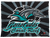Coral Reef Barracudas