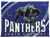 North Crowley Panthers