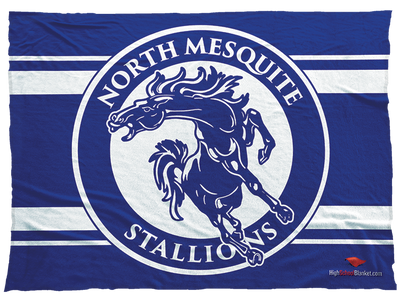 North Mesquite Stallions