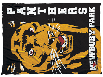 Newbury Park Panthers