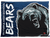 Olympia Bears