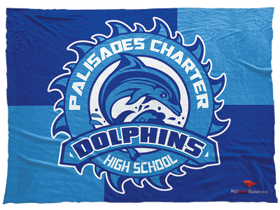 Palisades Charter Dolphins