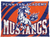 Penn Yan Academy Mustangs
