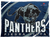 Piedra Vista Panthers