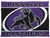 Pinnacle Panthers