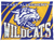 East Allegheny Wildcats