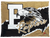 East Ridge Raptors
