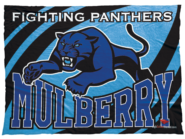 Mulberry Fighting Panthers