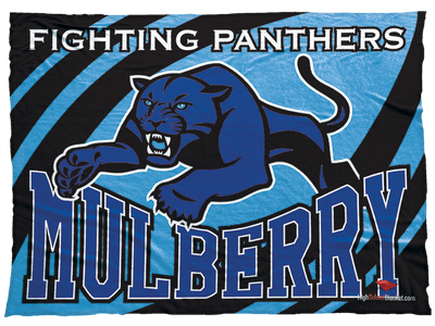 Mulberry Fighting Panthers