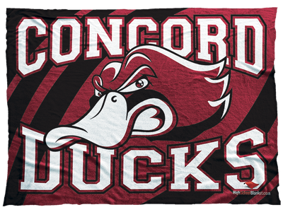 Concord Ducks