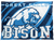 Great Falls Bison