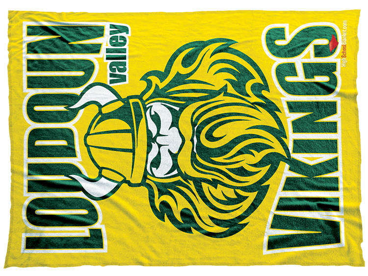 Loudoun Valley Vikings