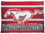 Rancho Verde Mustangs