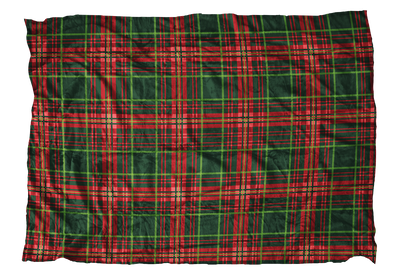 Busy Plaid