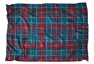 Busy Plaid