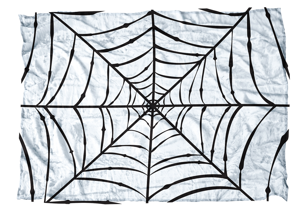 Spider Web