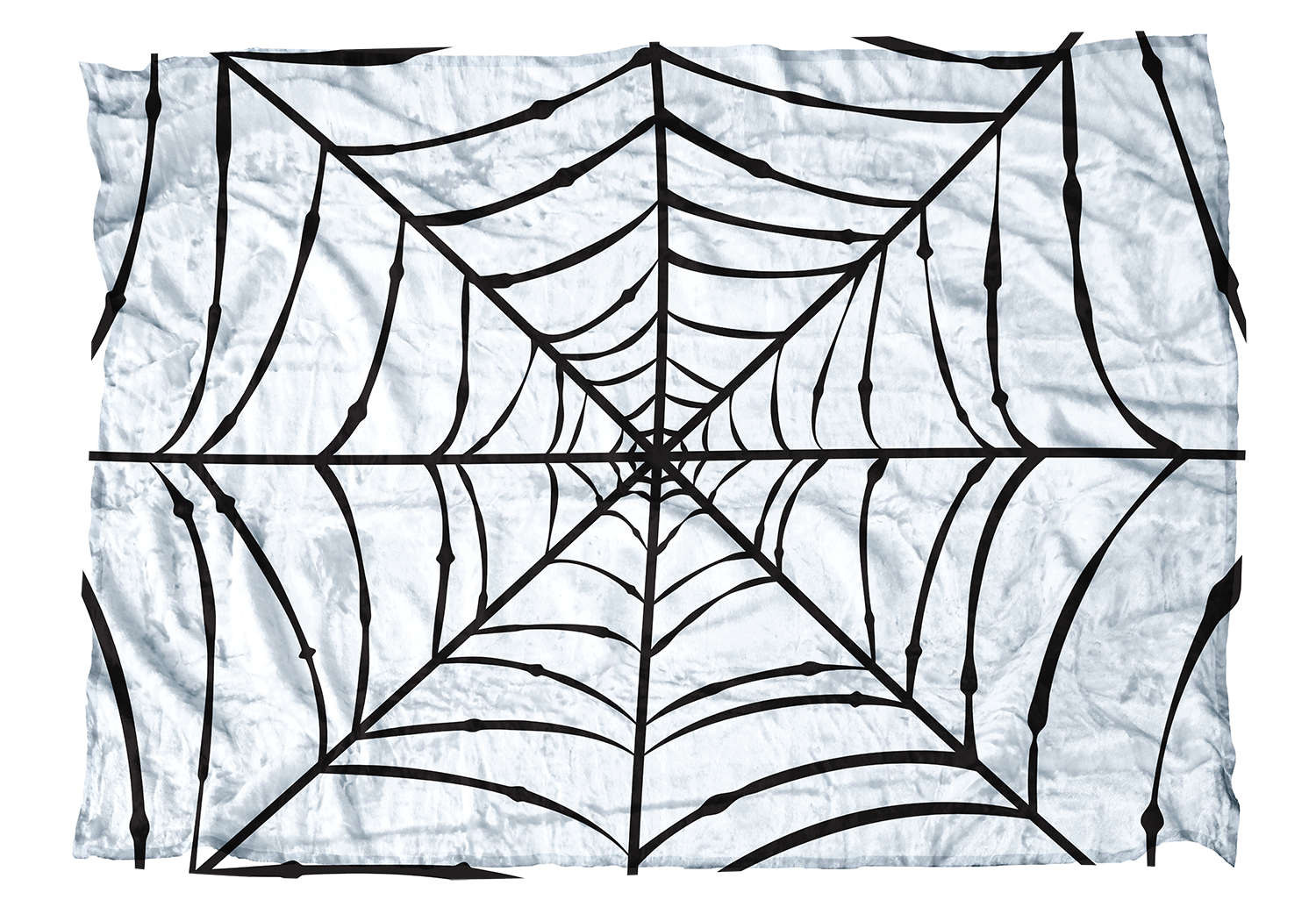 Spider Web