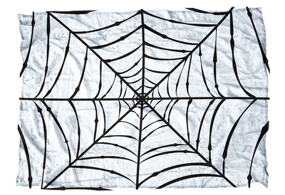 Spider Web