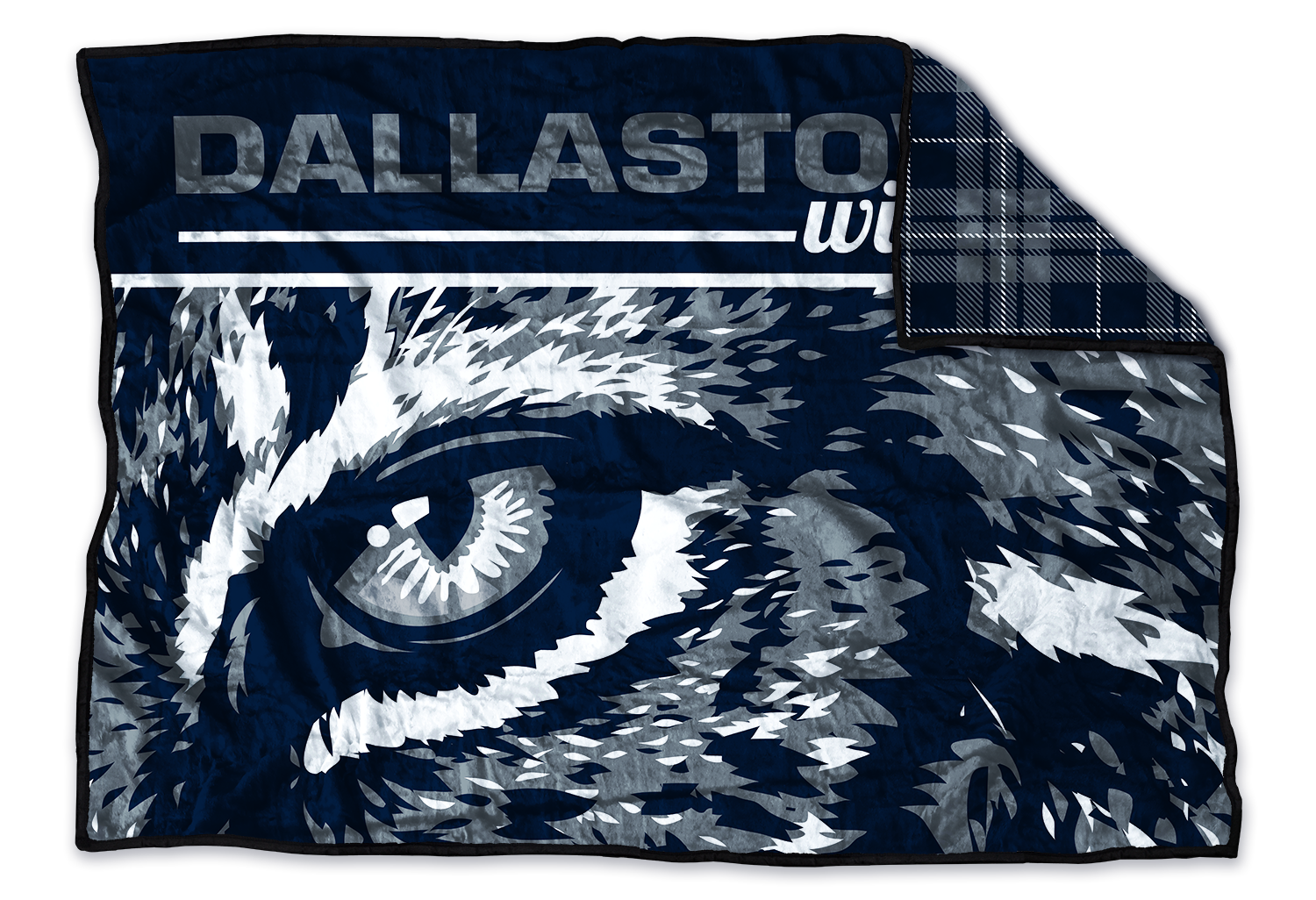 Dallastown Area Wildcats