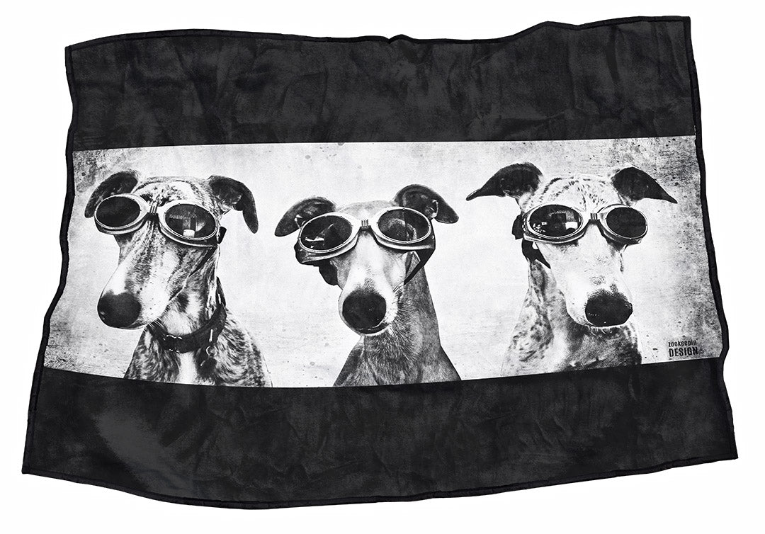 Dogs in Goggs