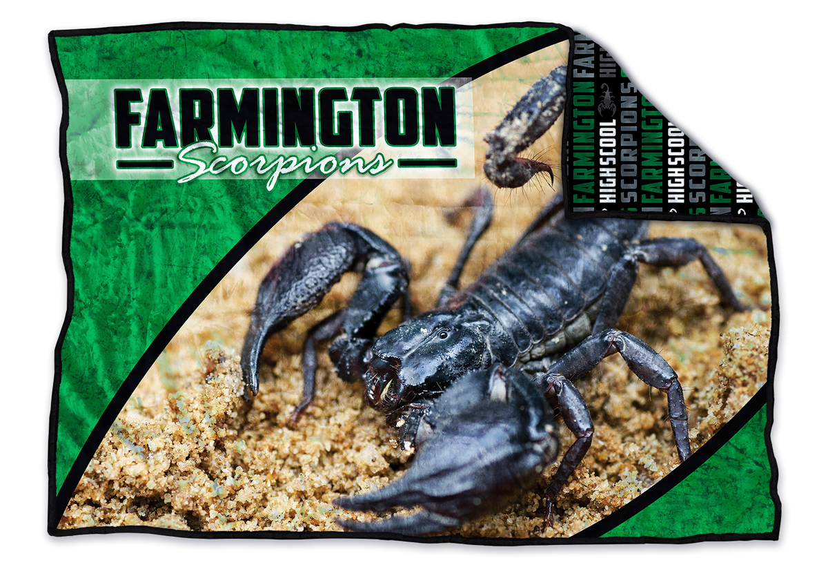 Farmington Scorpions