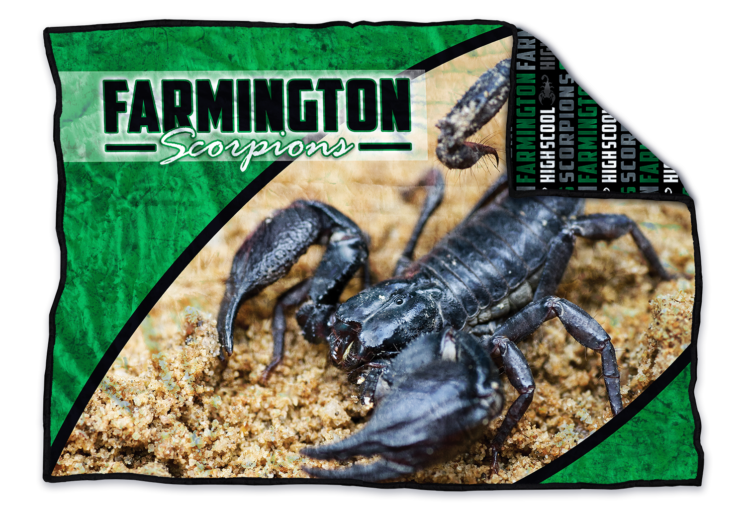 Farmington Scorpions