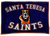Santa Teresa Saints
