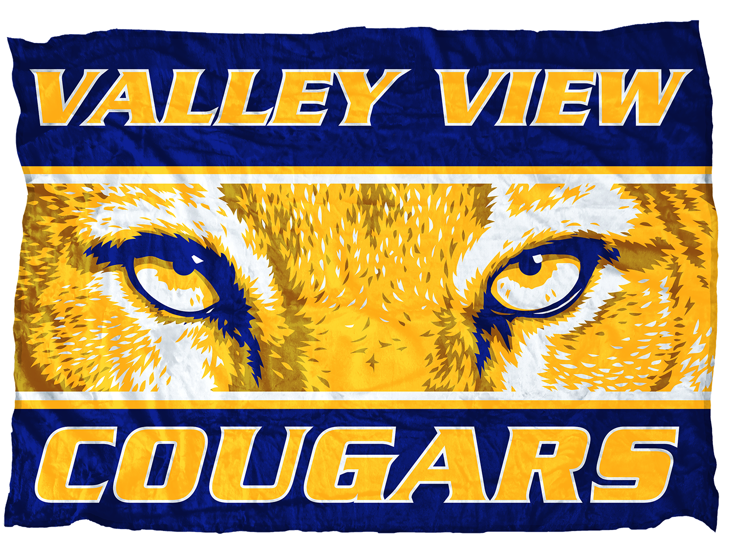 Valley View Cougars