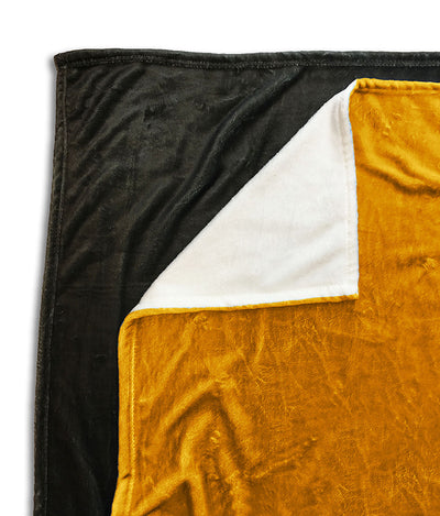 Edison Tigers