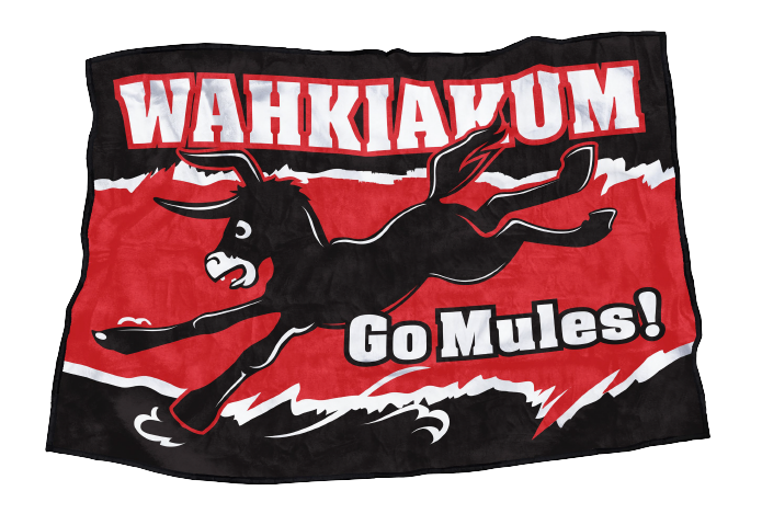 Wahkiakum Mules